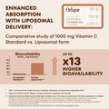 Energie & Immunität Liposomales Vitamin D3 mit Magnesium und K2